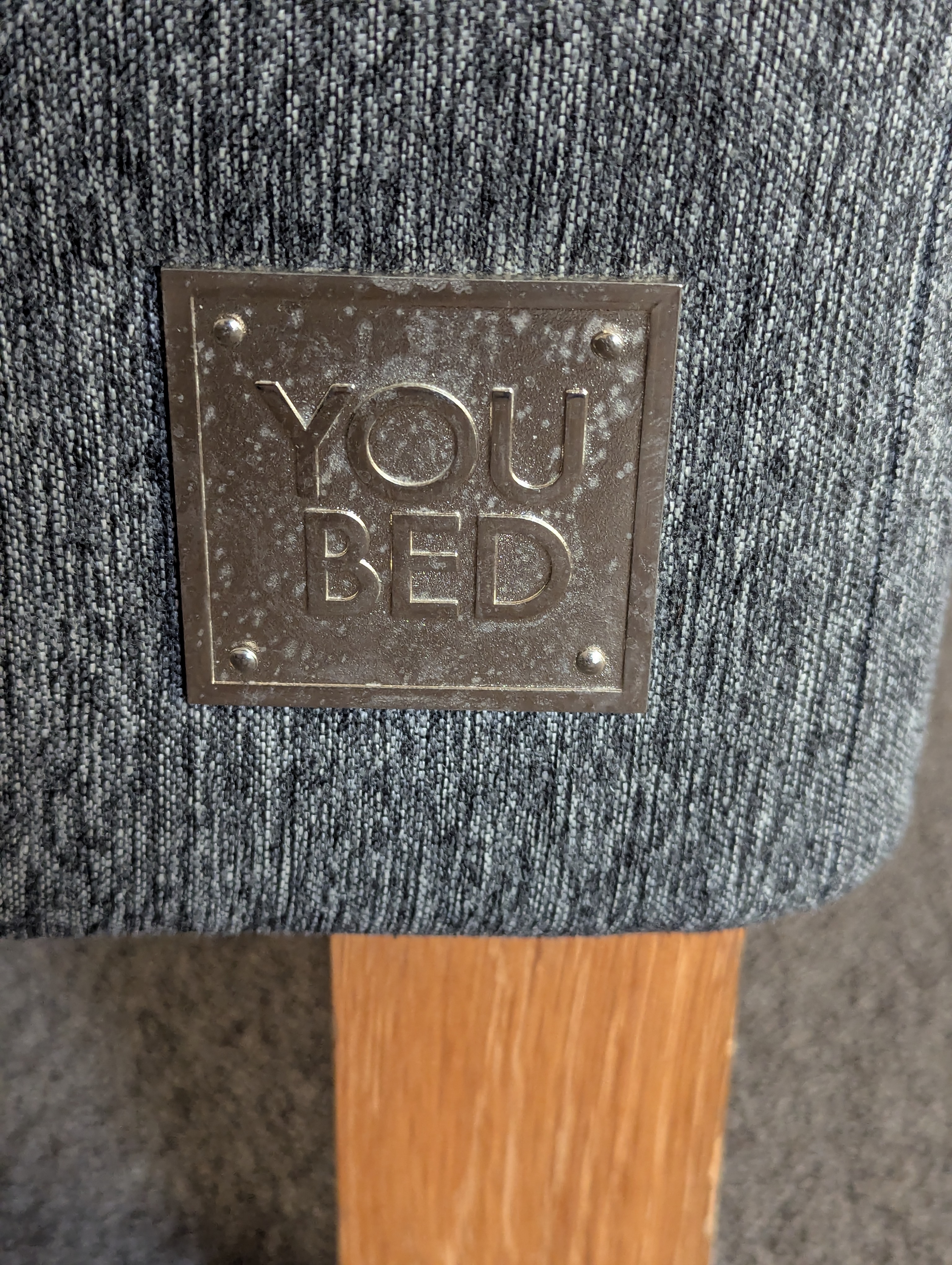 train, Muenster, Koln, Germany